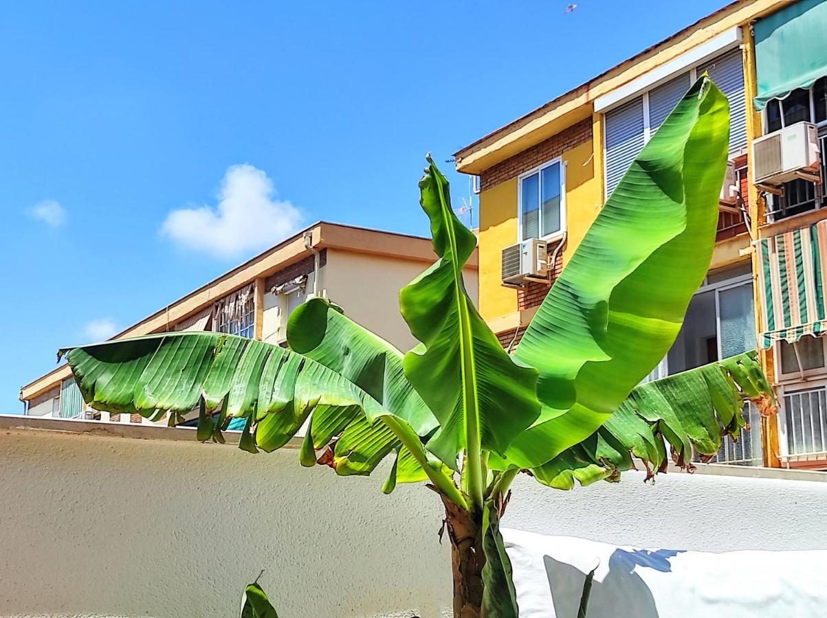 Manuela Nogales Apartments! Малага Экстерьер фото